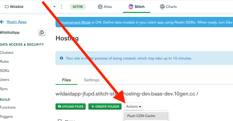 How to click the 'Flush CDN Cache' when prompted